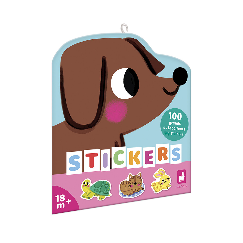 Gommettes Les Animaux De Compagnie X100, JANOD