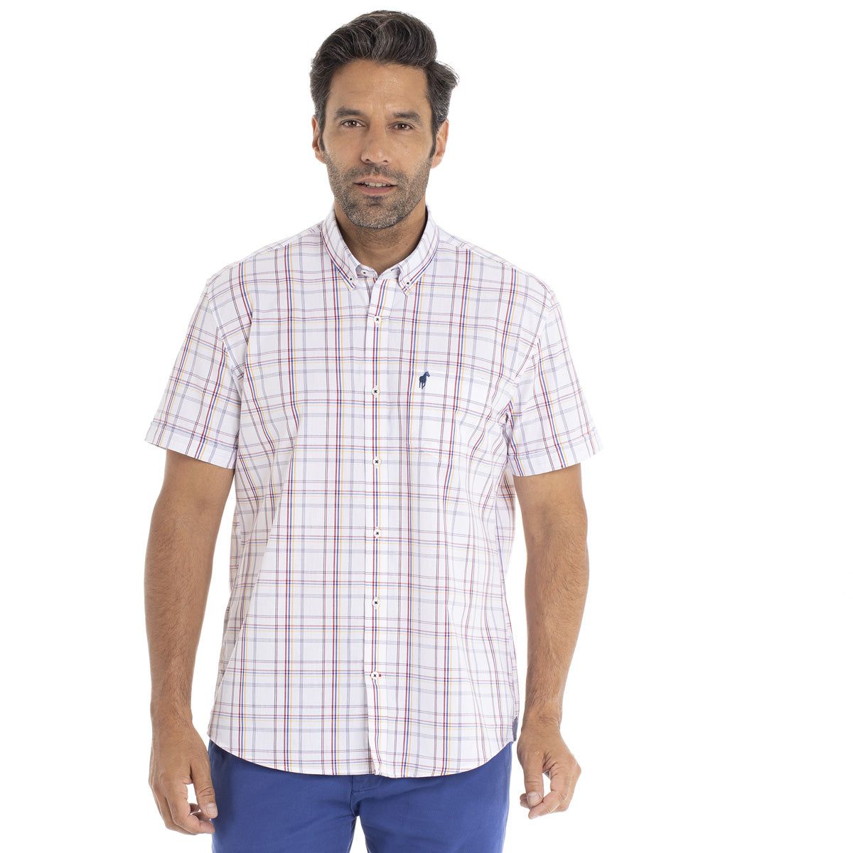 Chemise hot sale gentleman farmer