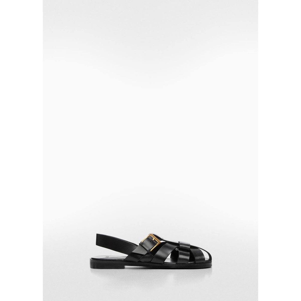 Meduse eram hot sale