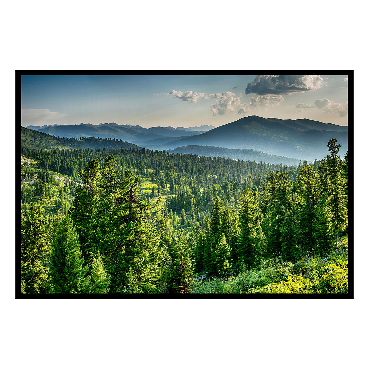 Affiche encadrée – Panorama montagneux et forêt, HEXOA