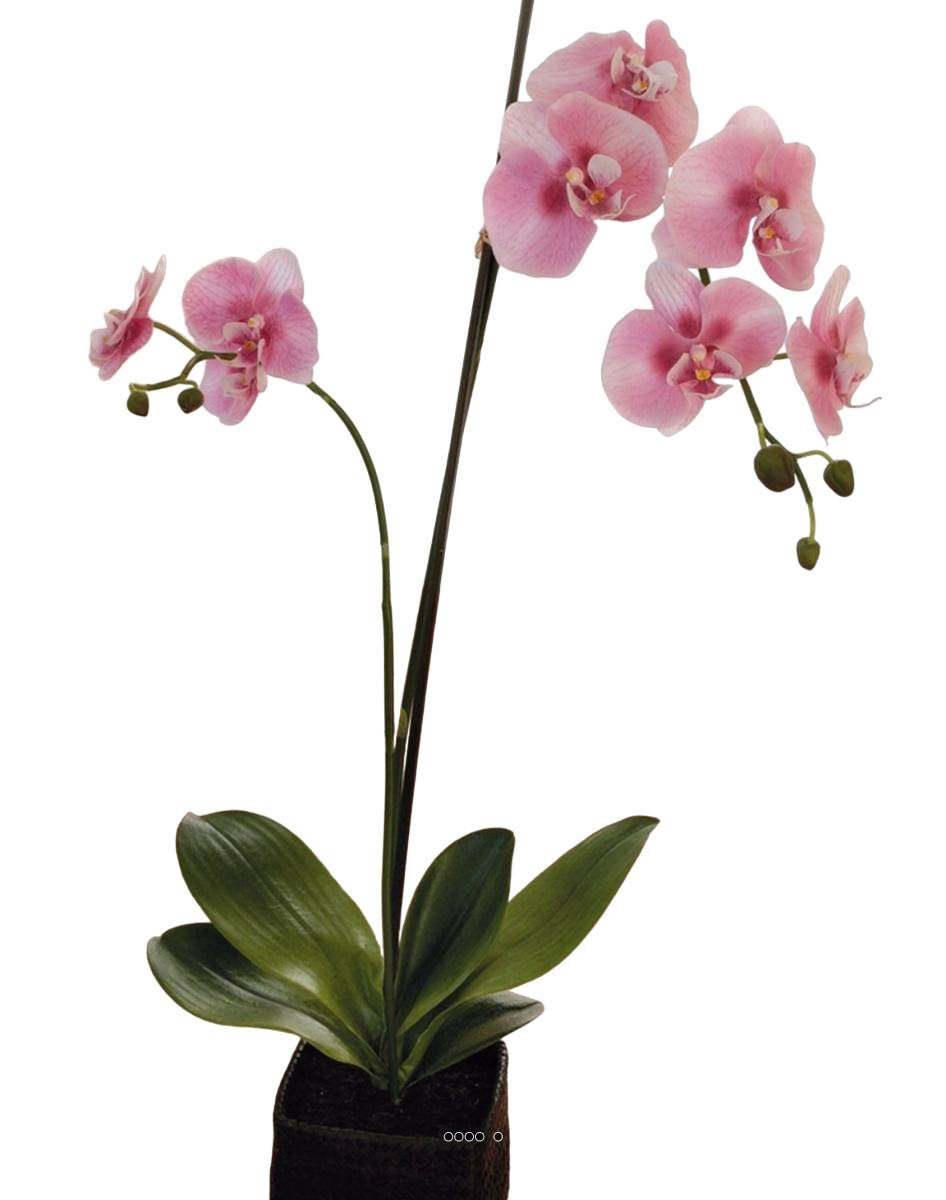 Sublime orchidée artificielle en pot H 75 cm, ARTIFICIELLES