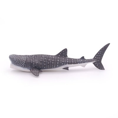 Requin baleine PAPO