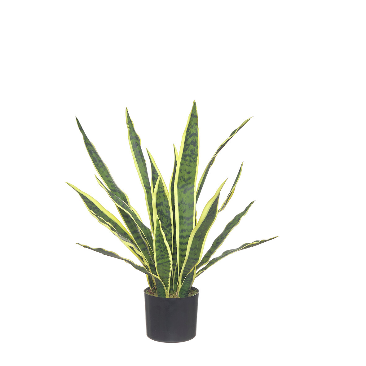 Planta artificial "Snake" 60cm, BORGHESI, BORGHESI