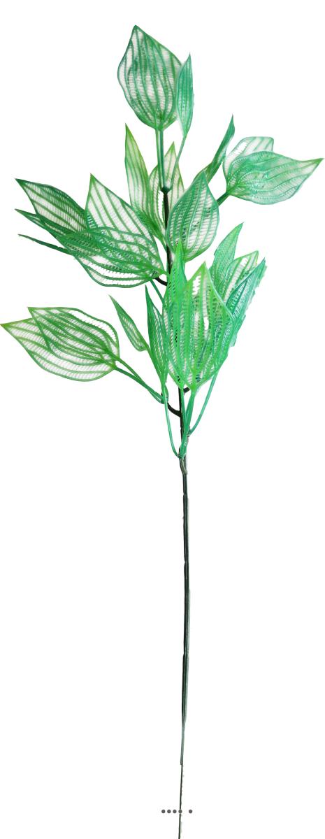 Branche de feuilles d'aponogeton fa, ARTIFICIELLES