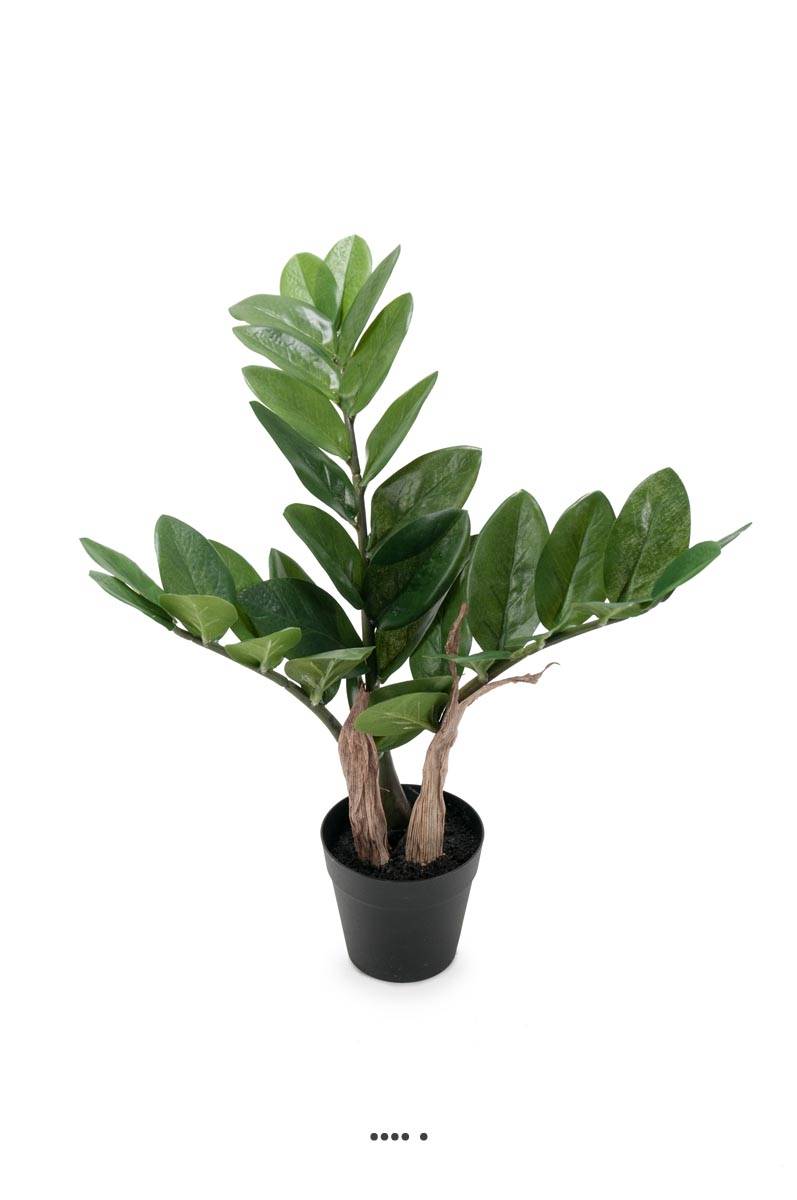Zamioculcas zamiifolia artificiel en pot, ARTIFICIELLES