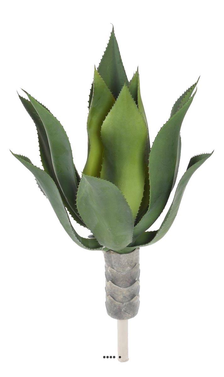 Agave, Aloé vera, artificielle en piquet H, ARTIFICIELLES