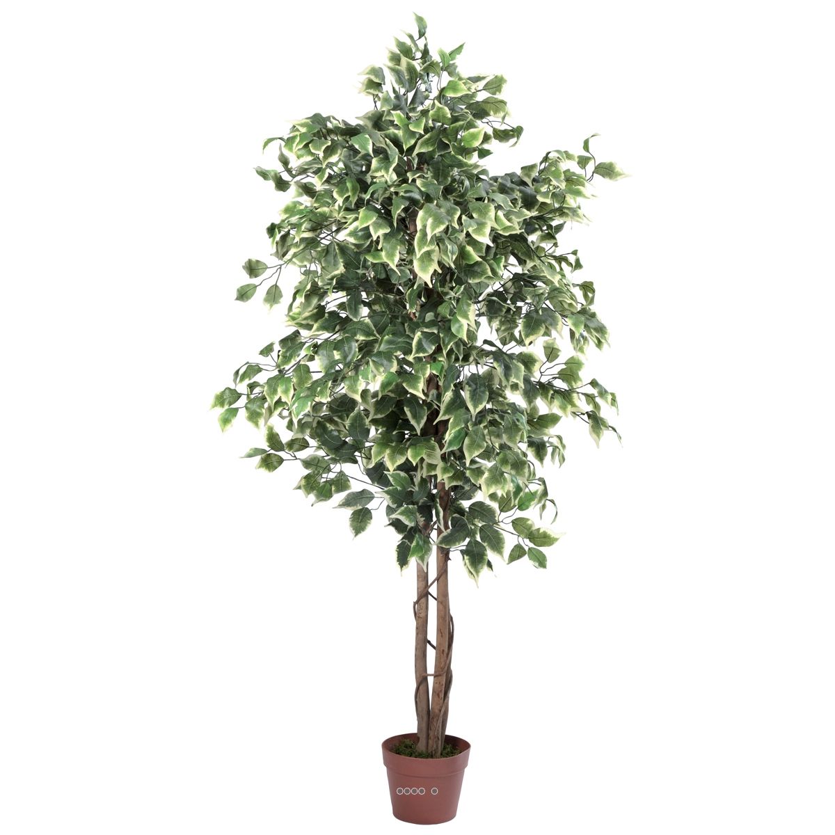 ficus artificiel 180 cm vert/blanc 1512 feuilles tronc nat - dimhaut: h couleur: blanc-vert