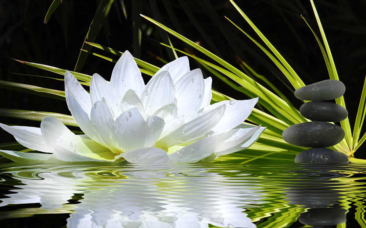 Tableau deco ambiance zen et fleur de lotus - 80x50 cm, HEXOA