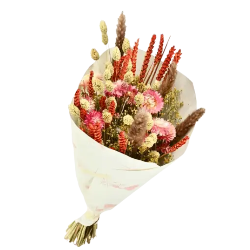 Bouquet de Fleurs séchées Dandy Rose Orange 50 cm, NATURALYS