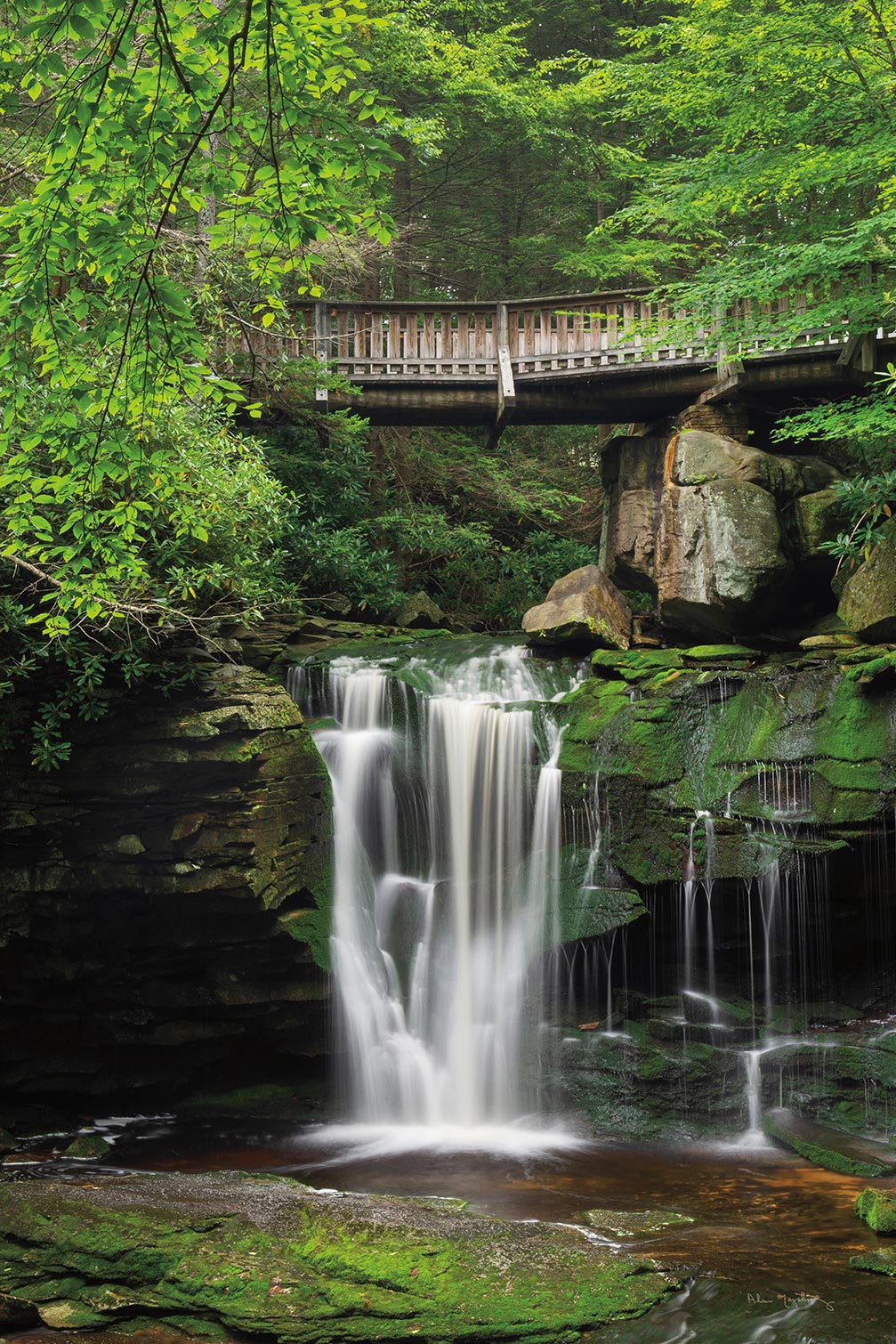 Tableau cascade chutes d'elakala ouest, HEXOA