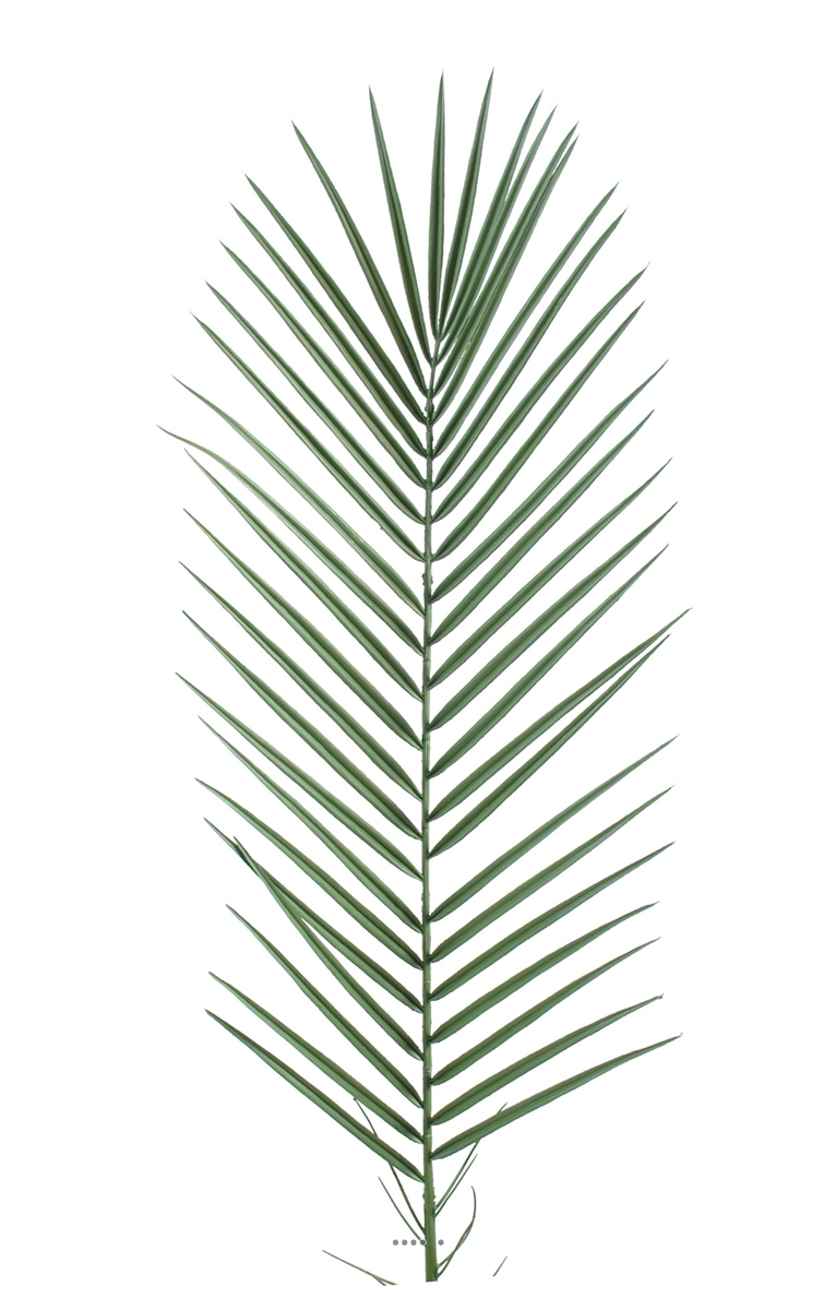 Feuille de Palmier Phoenix artificielle plast, ARTIFICIELLES
