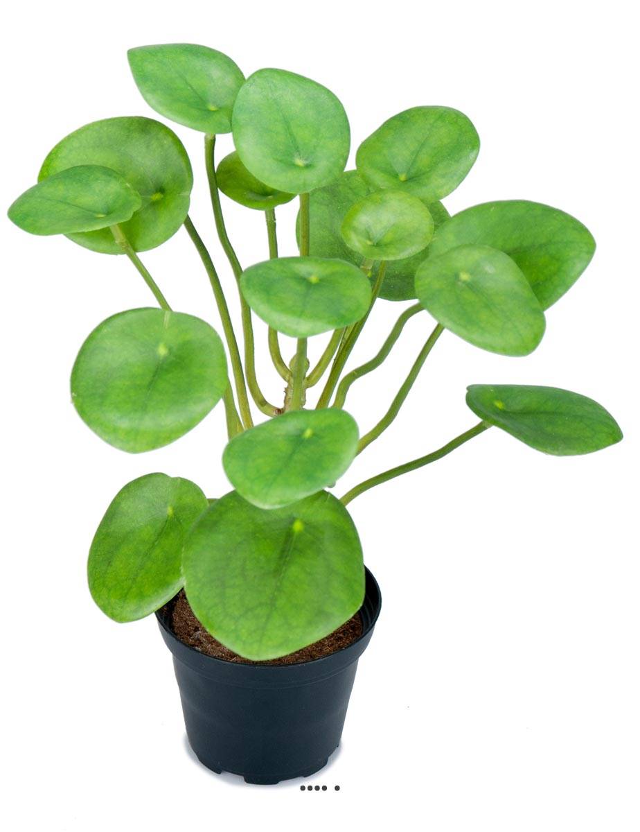 Plante Oreilles éléphant factice en pot H25cm, ARTIFICIELLES