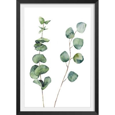 Affiche nature aquarelle feuille d' eucalyptus HEXOA