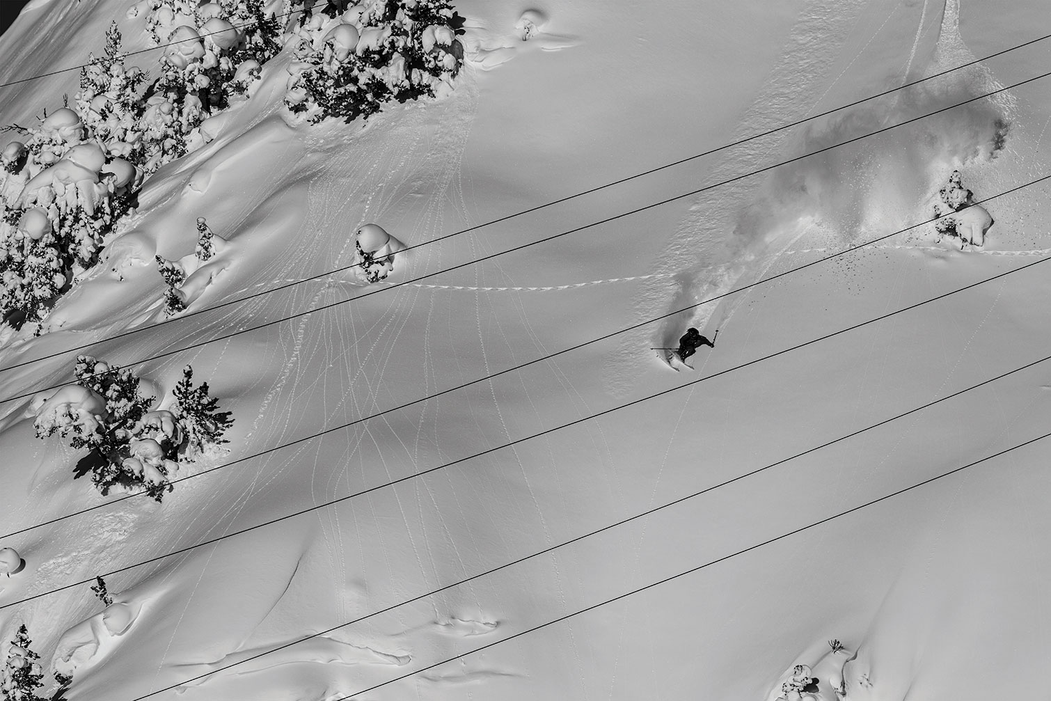 Tableau noir et blanc traces snowpowder, HEXOA