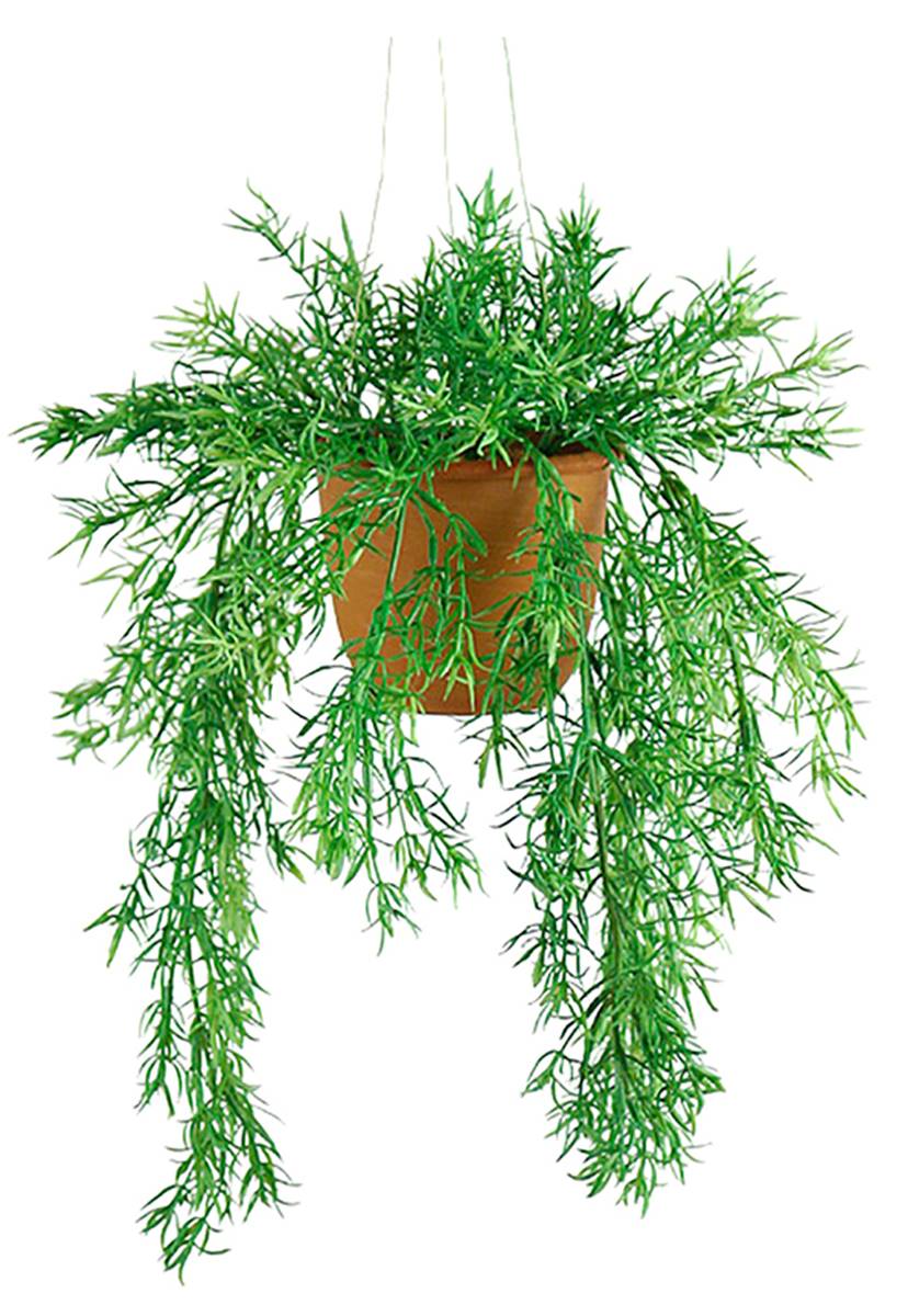 Asparagus artificiel retombant en pot, ARTIFICIELLES