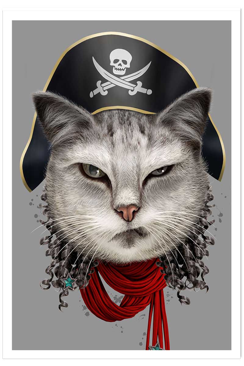 Affiche enfant chat pirate, HEXOA