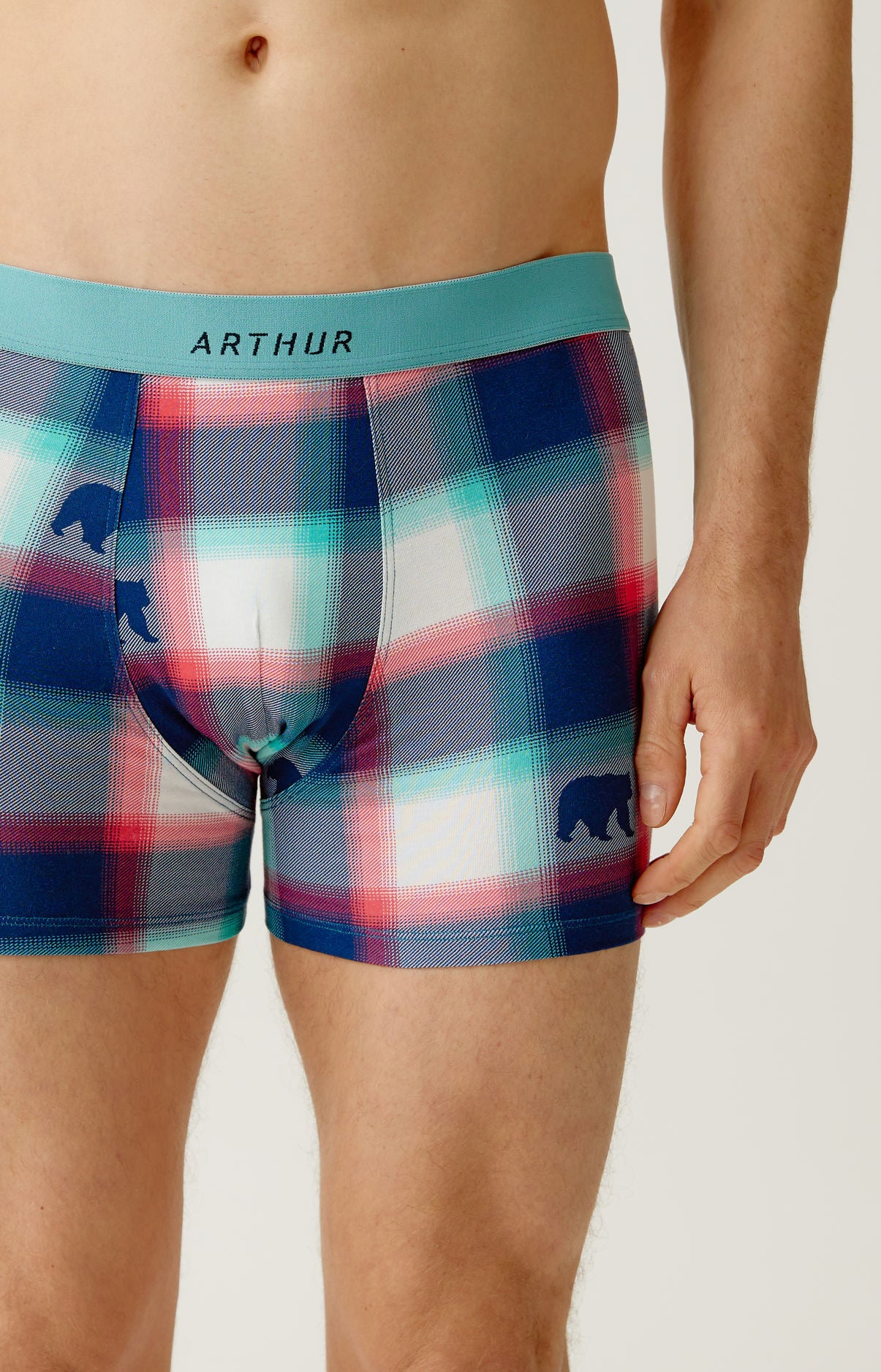 Boxer en coton imprimé Bear, ARTHUR