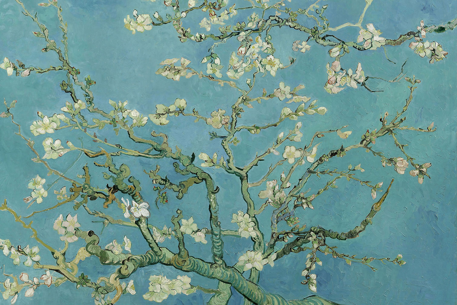Tableau vincent van gogh, HEXOA