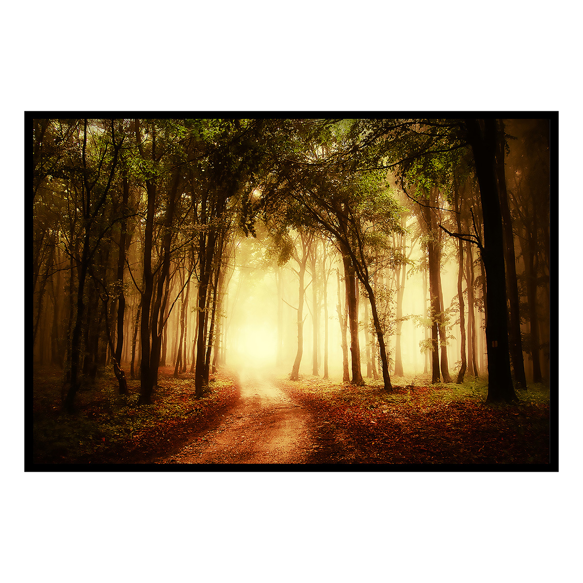 Affiche encadrée forêt dorée et chemin lumineux, HEXOA