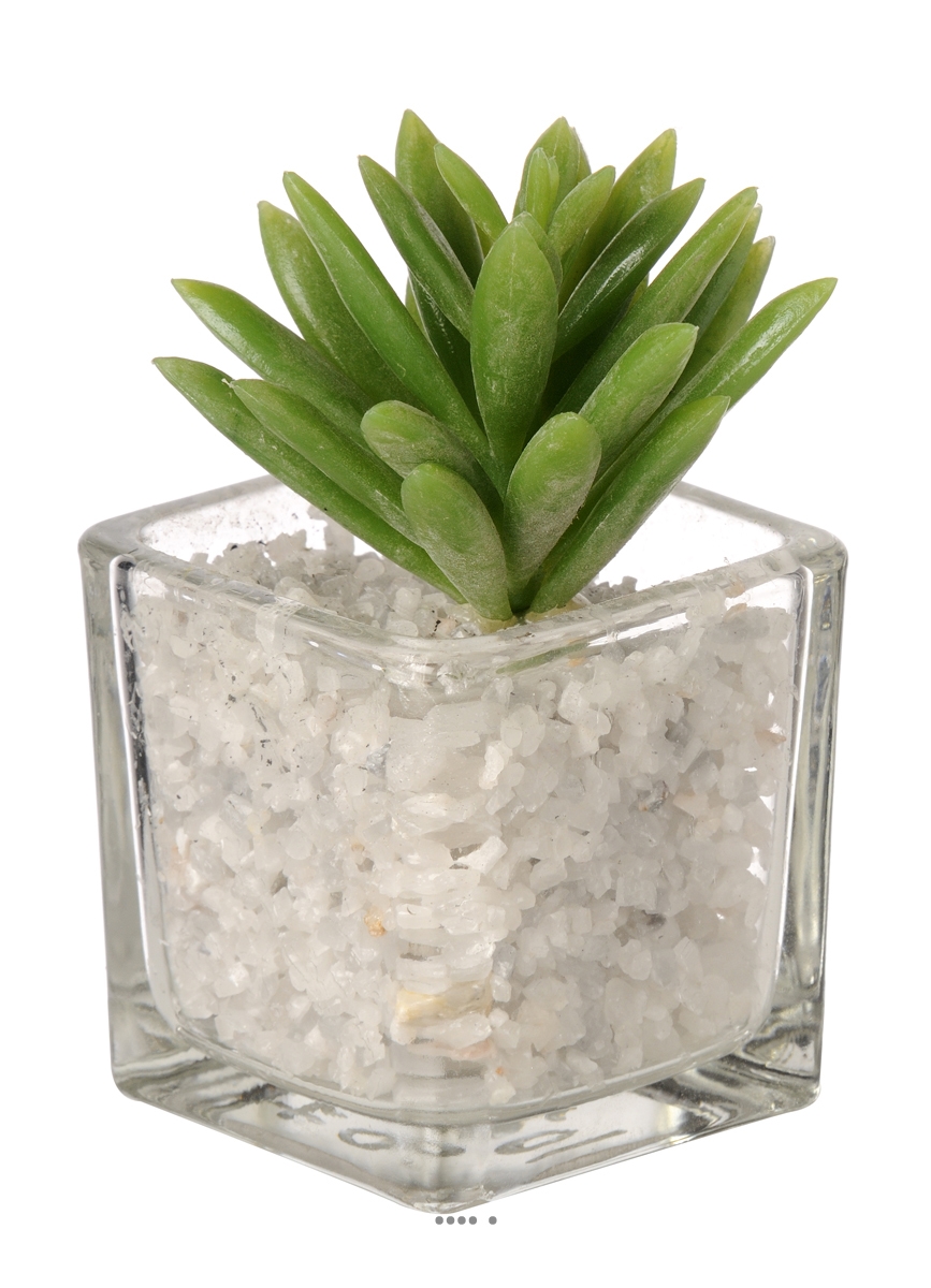 Agave artificielle succulente cactée en pot, ARTIFICIELLES