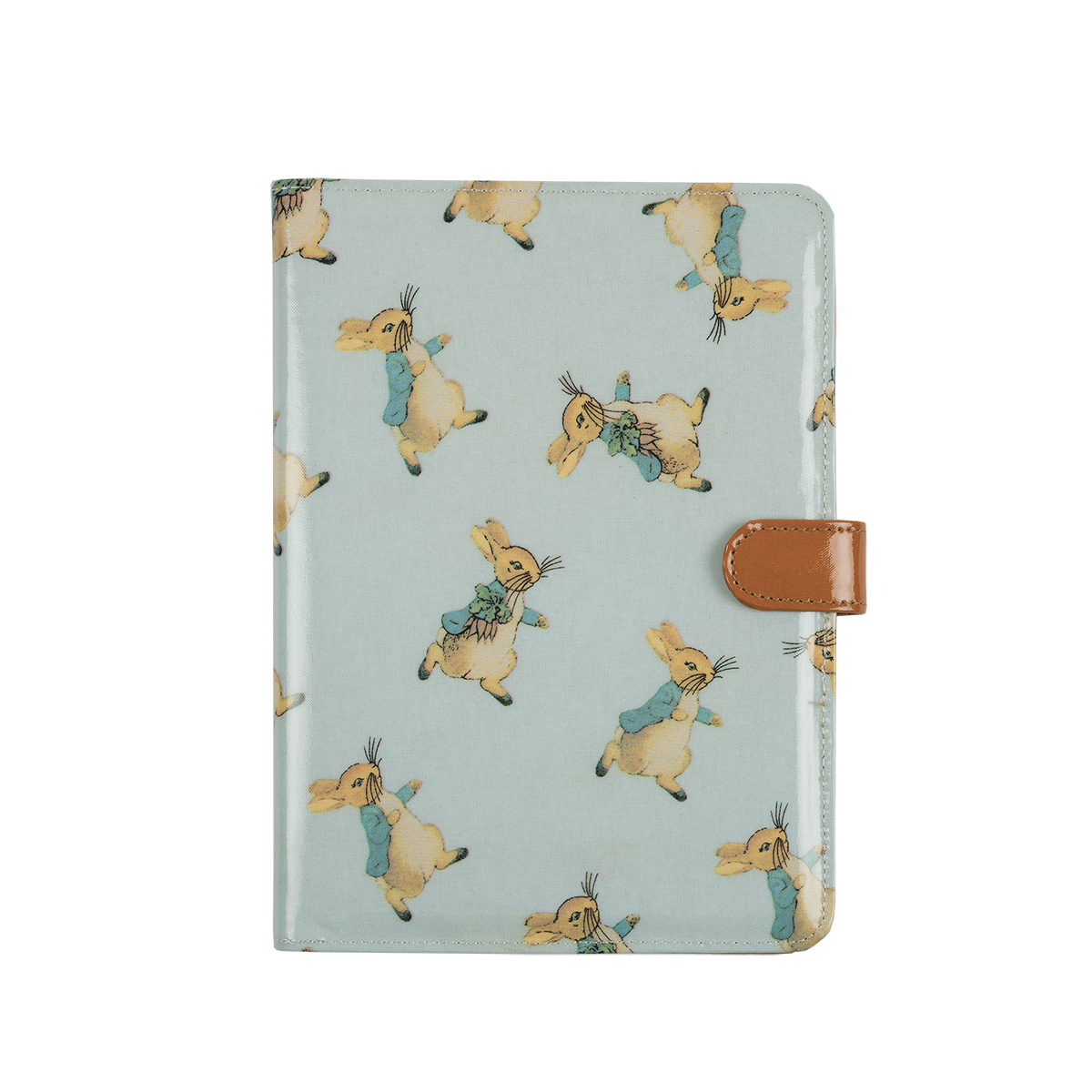Protège carnet de santé PIERRE LAPIN, PETIT JOUR