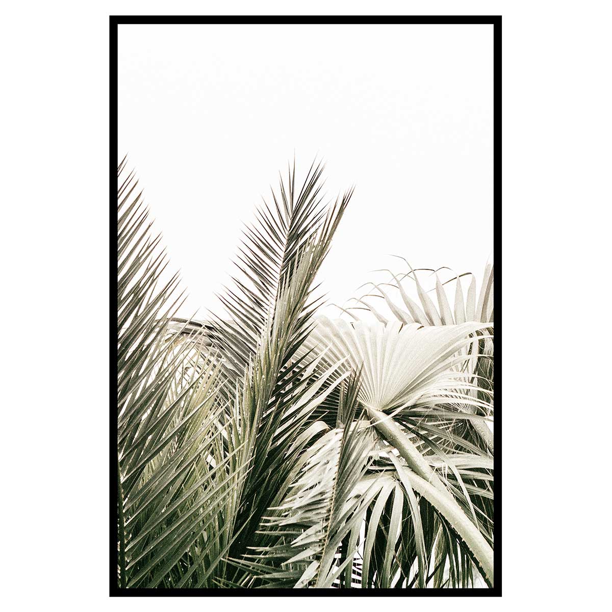 Affiche encadrée feuillage tropical chic, HEXOA