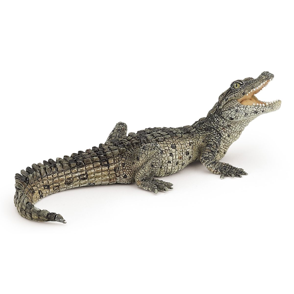 Bebe Crocodile Papo La Redoute