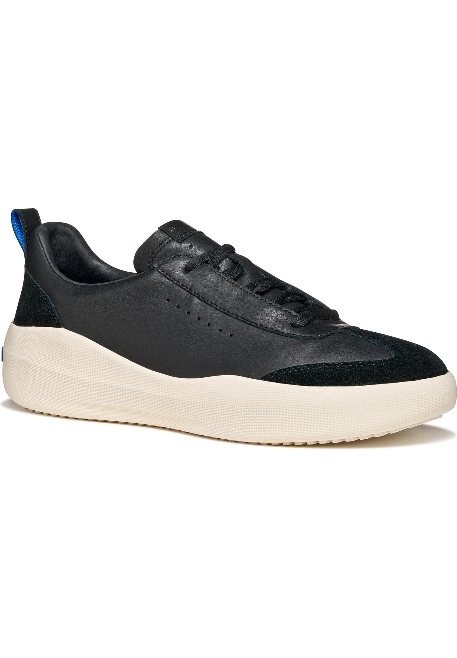 Baskets U GXCP-02, GEOX