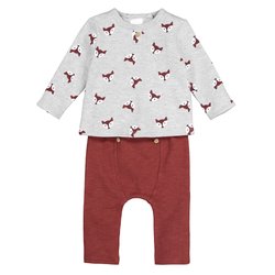 Conjunto de 2 peças, sweat e saruel, 0 mês-2 anos