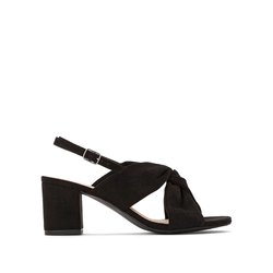 mule pied large