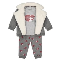 Conjunto de 3 peças, estampado raposa, 1 mês- 3 anos