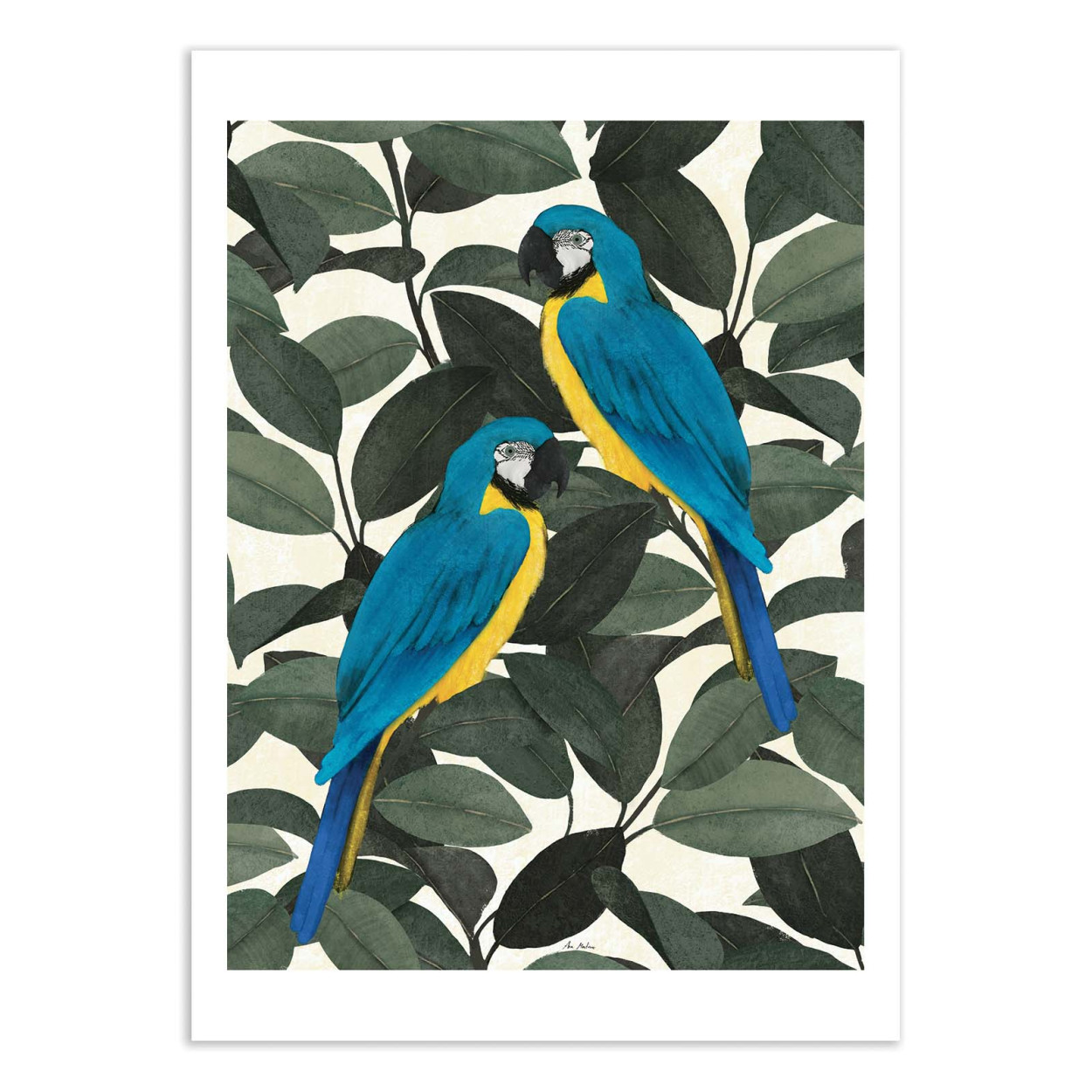 Affiche d'art - Parrots and jungle - El Buen Limon, WALL EDITIONS