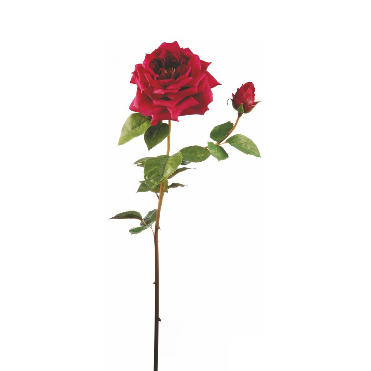 Tige de rose ouverte artificielle H80 DAVID, SIA DECO