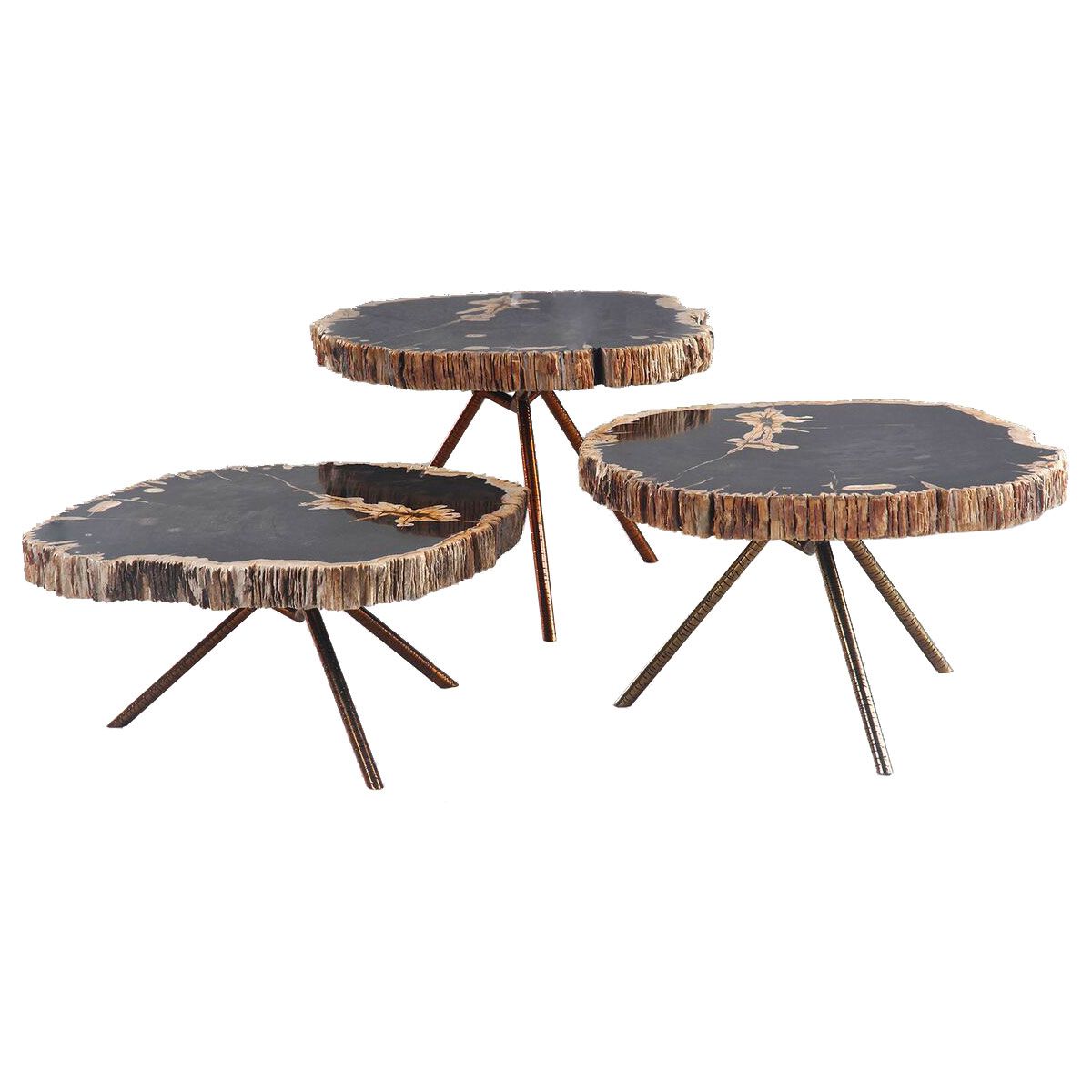 table basse gigogne en bois petrifie poppy