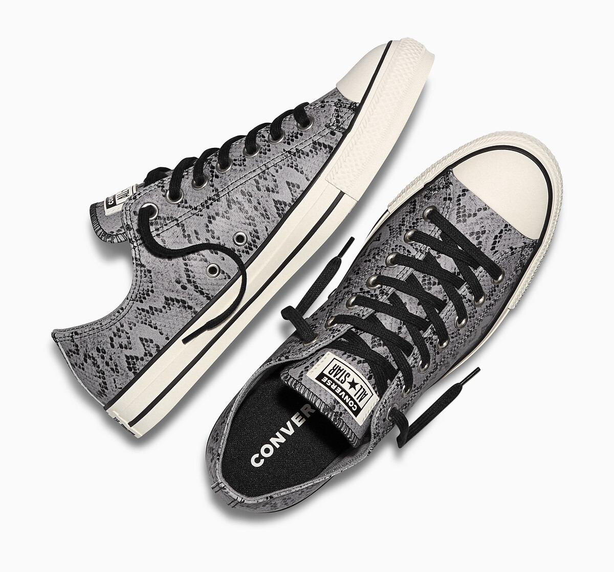 Converse Zapatillas CHUCK TAYLOR ALL STAR OX SCALES — photo 4
