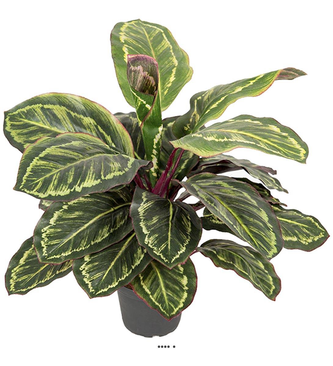 Maranta plante artificielle en pot H 48 cm, ARTIFICIELLES