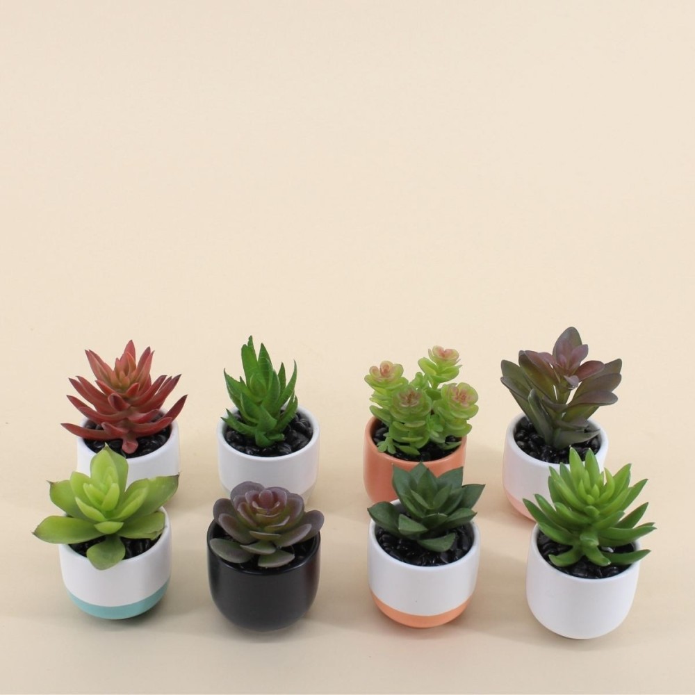 Lot de 8 plantes grasses artificielles en pot céramique, ORNAMI