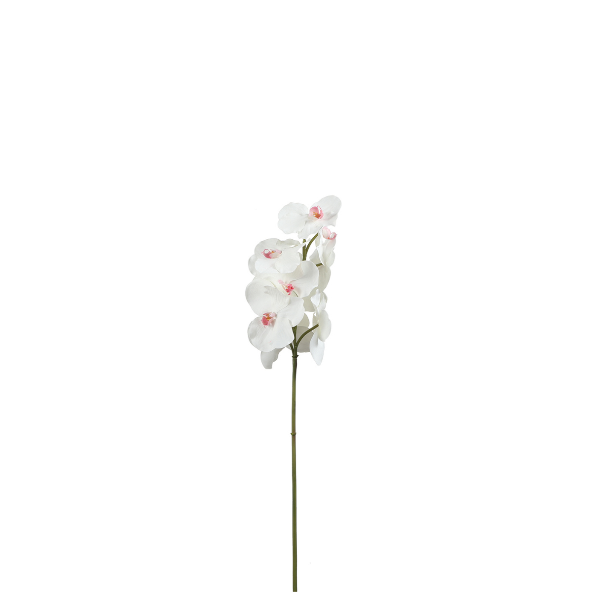 Tige d'orchidée artificielle H50, SIA DECO