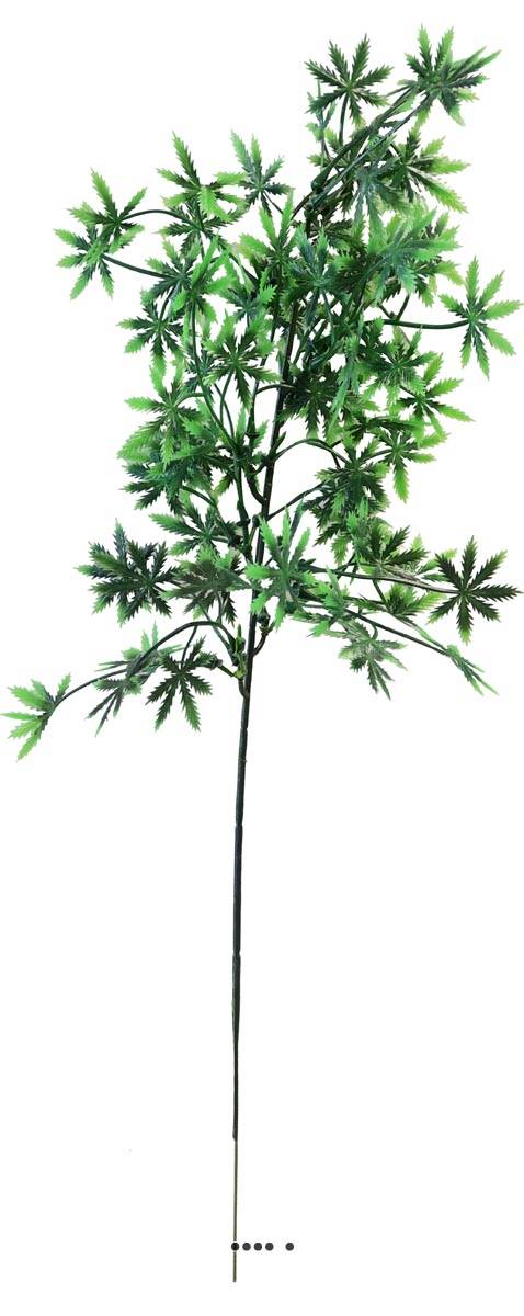 Aralia, Acer en pic plastique artificiel ver, ARTIFICIELLES