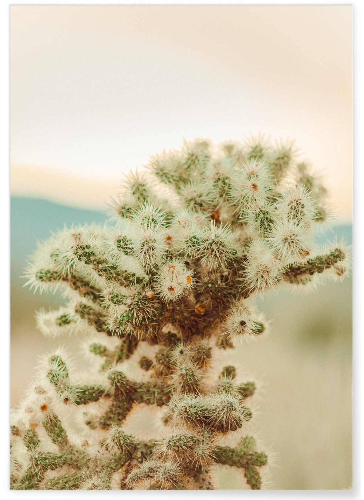 Affiche Nature Desert 2, L'AFFICHERIE