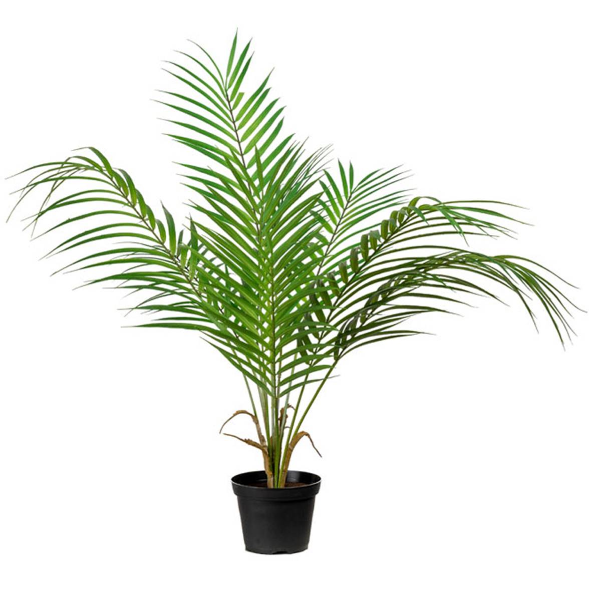 Palmier Areca artificiel, grandes palmes, ARTIFICIELLES
