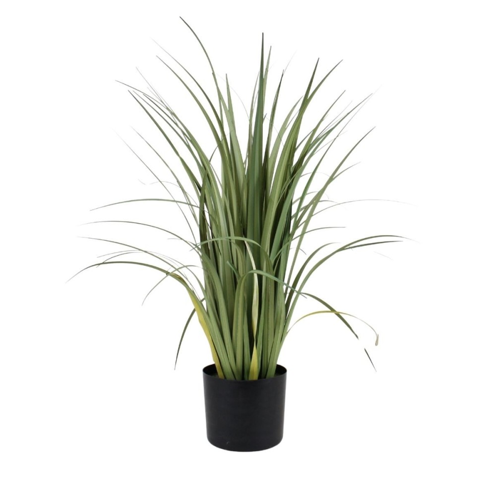 Plante artificielle acorus 80cm, ORNAMI