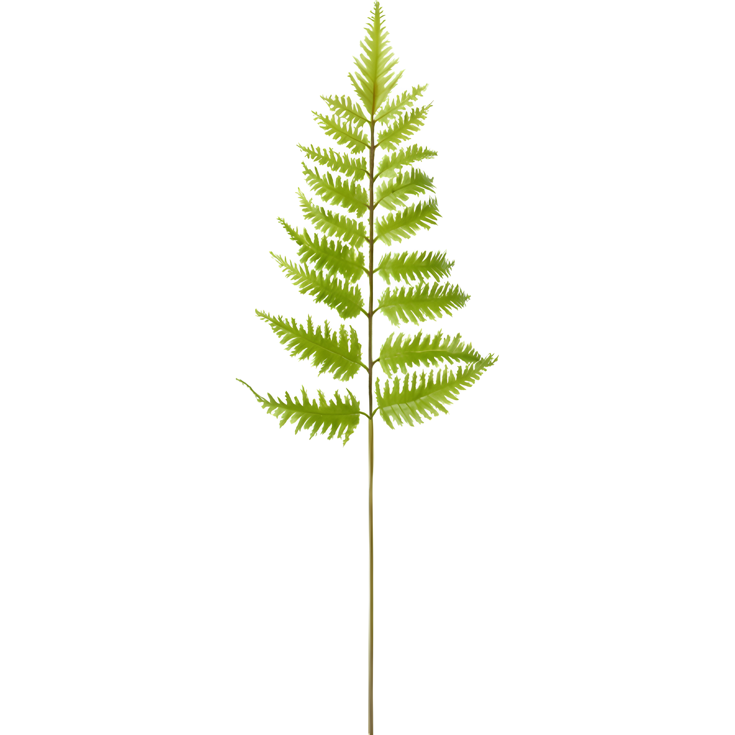 Tige de fougère artificielle H55, SIA DECO