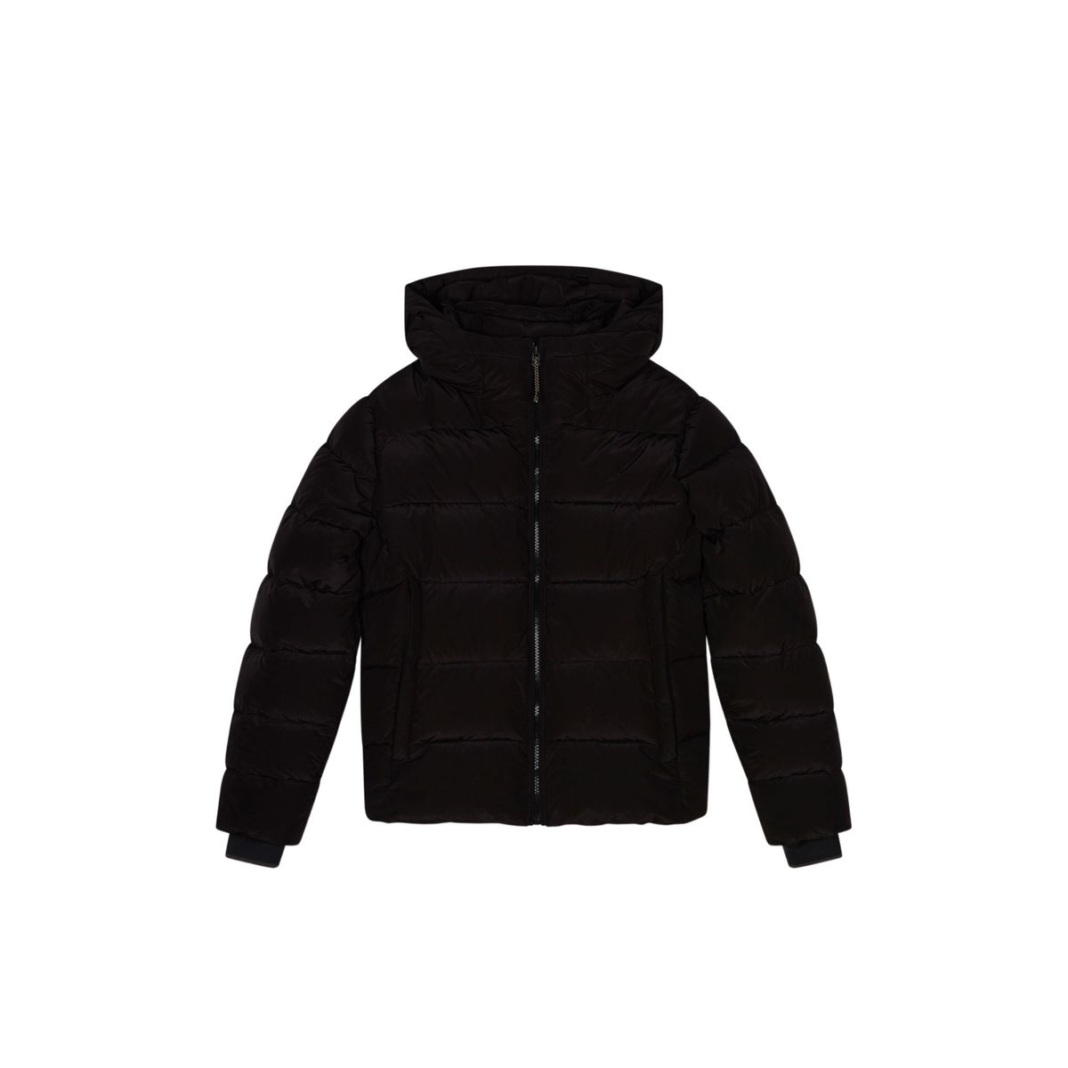 Manteau best sale teddy homme