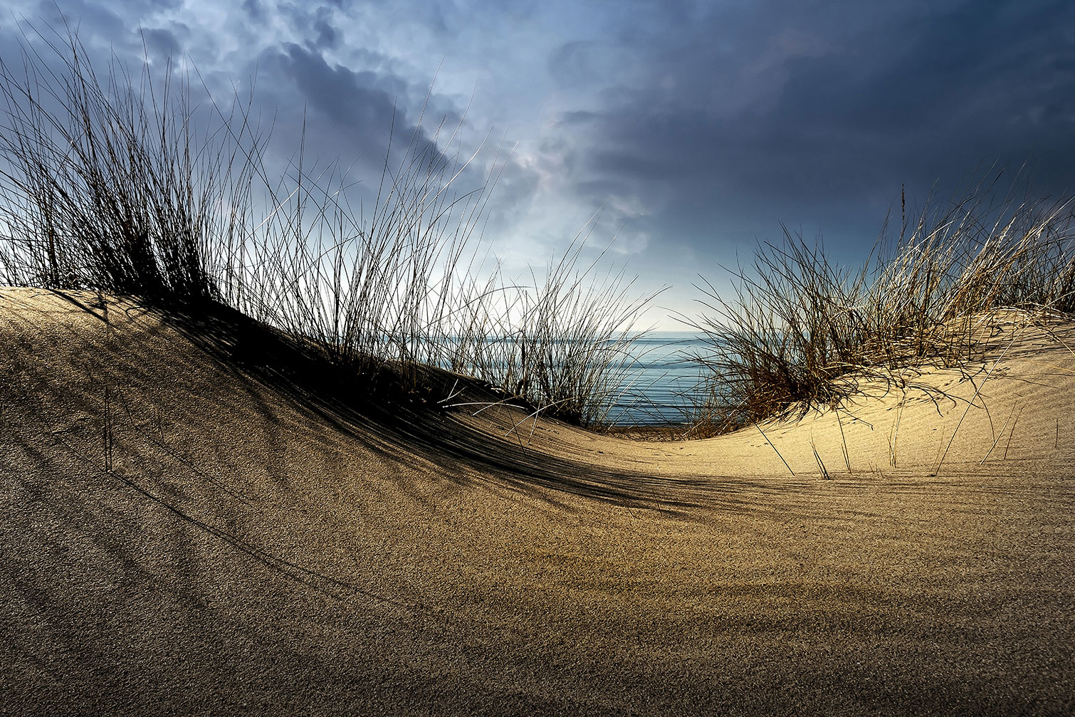 Tableau dunes secrètes, HEXOA