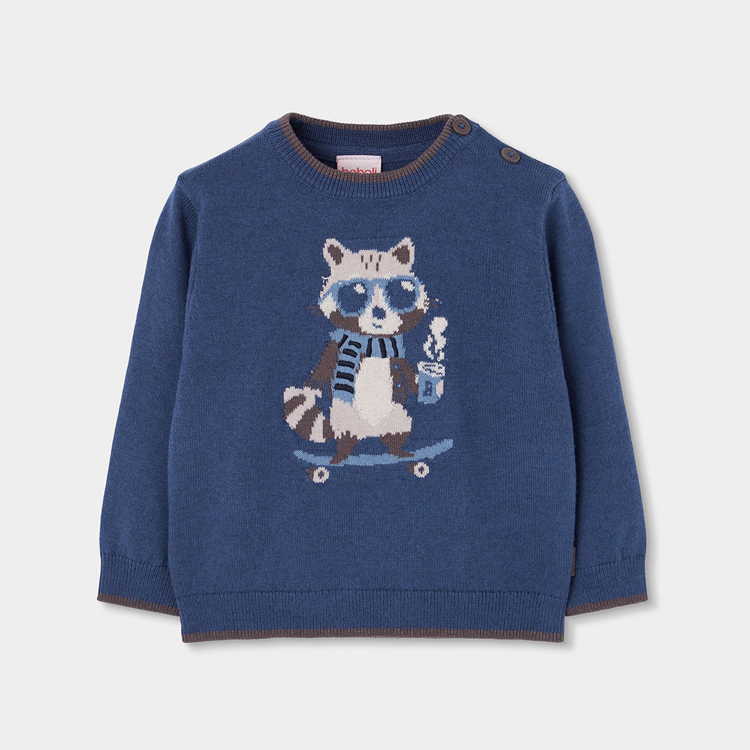 Pull garçon imprimé raton laveur skater, BOBOLI