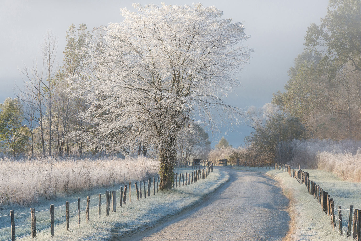 Tableau paysage Un matin glacial, HEXOA