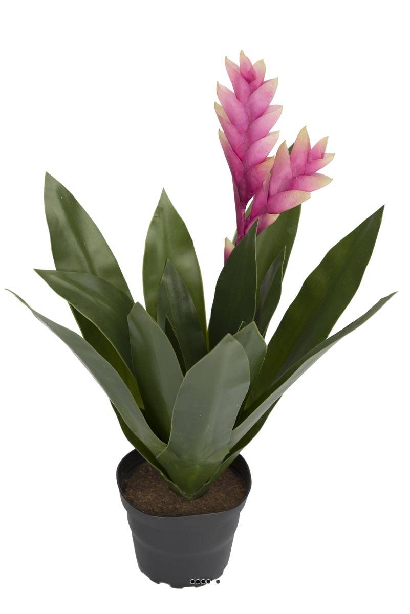 Bromélia fleurie artificielle en pot, H 40 c, ARTIFICIELLES