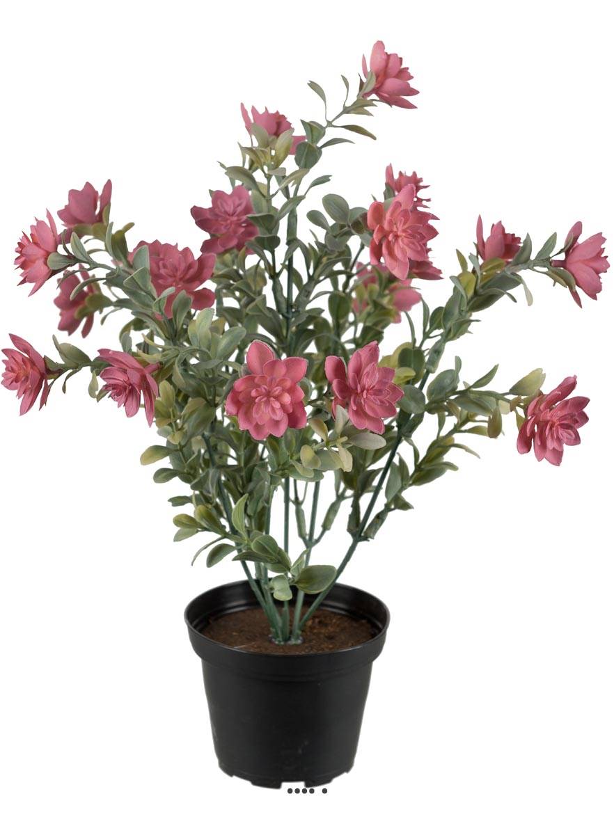 Succulente fleurie factice cactée Vieux Rose, ARTIFICIELLES