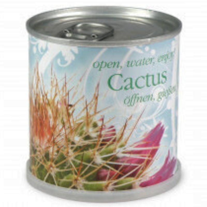 Cactus Prêt à pousser en canette, MAC FLOWERS